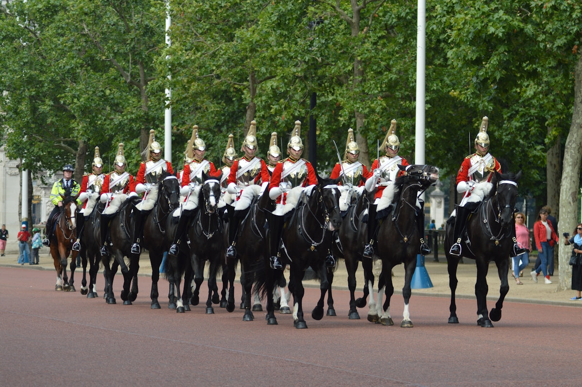 man riding horse photography