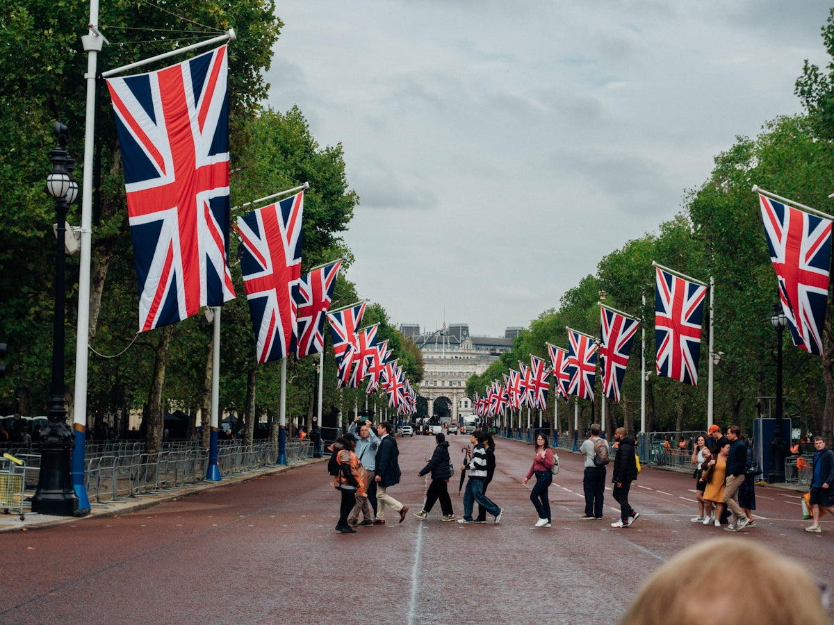 a group of people walking with flags with The Mall, London in the background